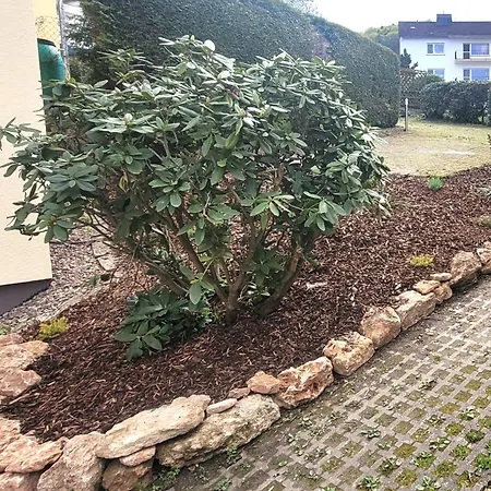 Stadtliebe Ps4 公寓