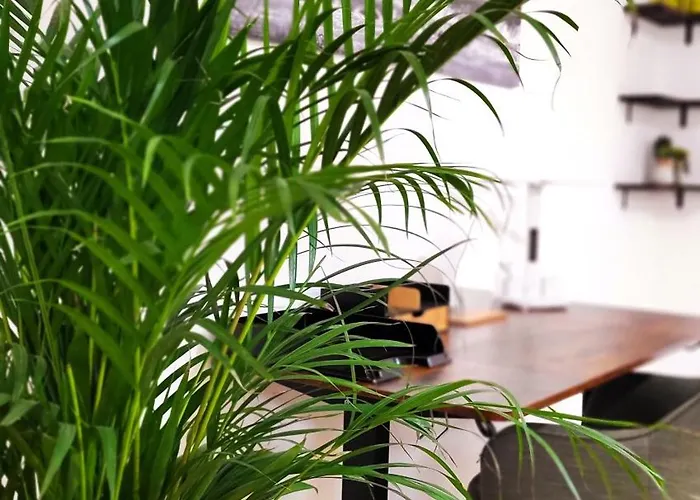 Apartman Stadtliebe Ps4 Marburg